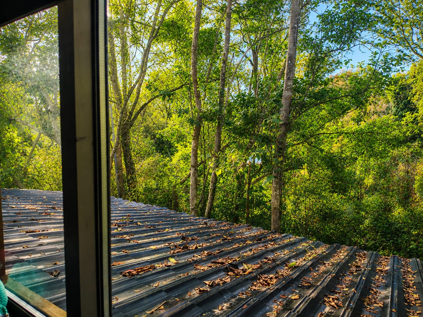 Vista del techo de la casa y el bosque